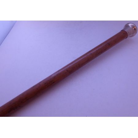 Englischer original antiker Spazierstock mit Malacca Schaft, 1920