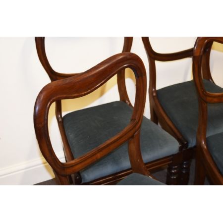 Original antike 6 Esszimmerstühle, Palisanderholz, 1850