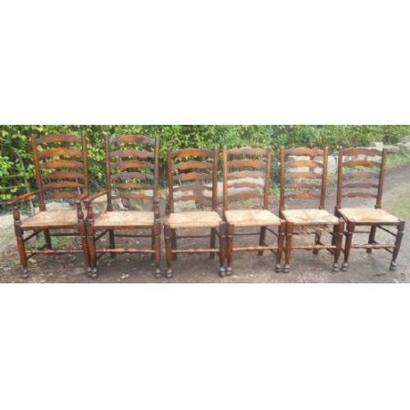 6er-Set Antike Esszimmerstühle, 1850, Ulme