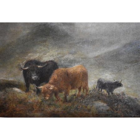 Antikes Ölgemälde auf Leinwand, zeigt die Highland-Rinder, von John W. Morris, 1900
