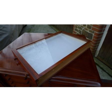 Ein viktorianischer massiver Mahagoni 30 Schubladen Sammlerschrank original antik 1880