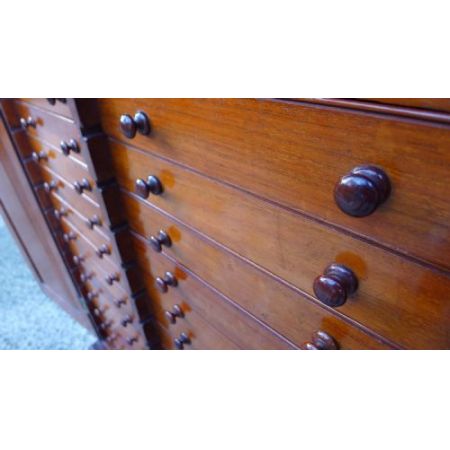Ein viktorianischer massiver Mahagoni 30 Schubladen Sammlerschrank original antik 1880