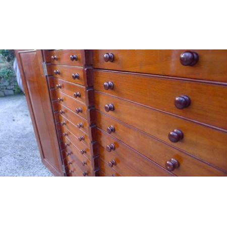 Ein viktorianischer massiver Mahagoni 30 Schubladen Sammlerschrank original antik 1880