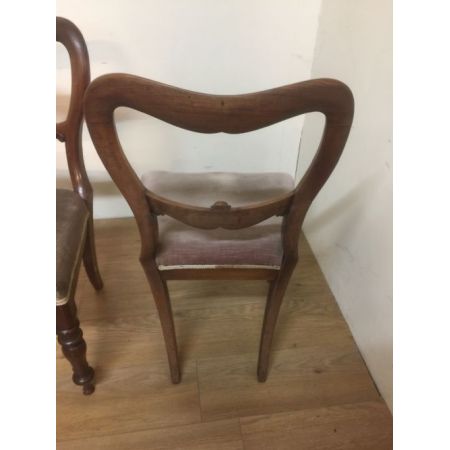 Vier Original Englische Antike Massivholz Mahagoni Stühle aus dem 1840