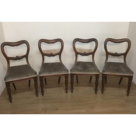 Vier Original Englische Antike Massivholz Mahagoni Stühle aus dem 1840