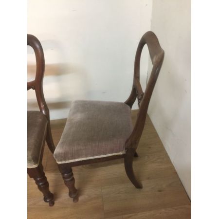 Vier Original Englische Antike Massivholz Mahagoni Stühle aus dem 1840