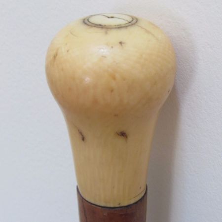 Viktorianischer original antiker Elfenbein Malakka Gehstock englisch 1850