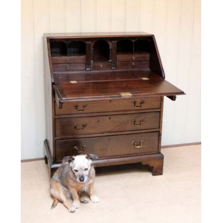 Antiker Englischer georgianischer Eichen Sekretär 1800