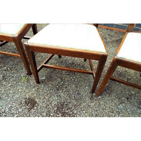 8 Stk. Georgianische englische Mahagoni Stühle original antik ca 1780