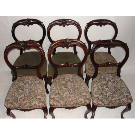 6 Stk original viktorianische Palisander Küchenstühle englisch ca 1845