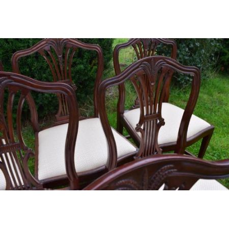 6 Stk origina antike Hepplewhite Stühle Mahagoni Küchenstühle englisch ca 1900