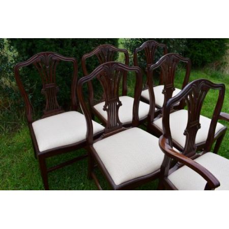 6 Stk origina antike Hepplewhite Stühle Mahagoni Küchenstühle englisch ca 1900