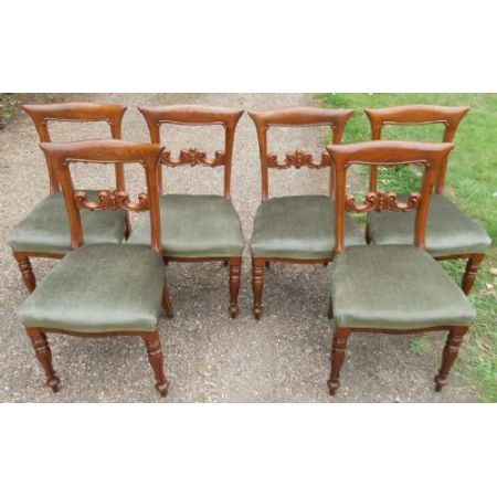 6 stk viktorianische englische Mahagoni Esszimmer Stühle antik ca 1850