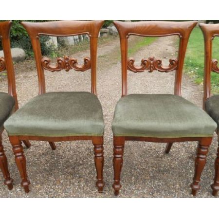 6 stk viktorianische englische Mahagoni Esszimmer Stühle antik ca 1850