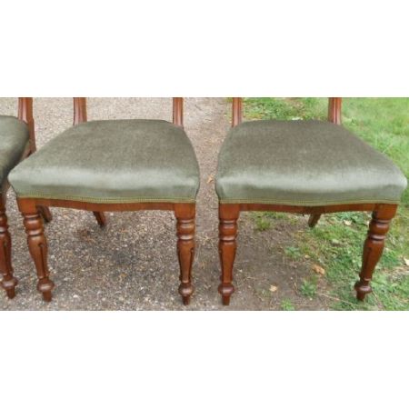 6 stk viktorianische englische Mahagoni Esszimmer Stühle antik ca 1850