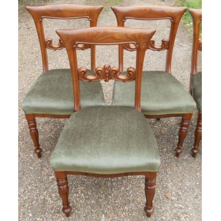 6 stk viktorianische englische Mahagoni Esszimmer Stühle antik ca 1850