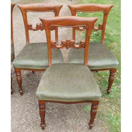 6 stk viktorianische englische Mahagoni Esszimmer Stühle antik ca 1850