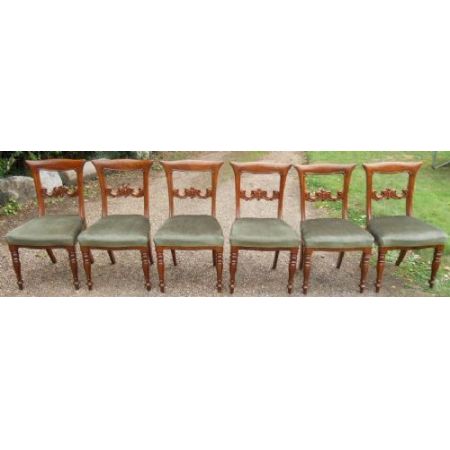 6 stk viktorianische englische Mahagoni Esszimmer Stühle antik ca 1850