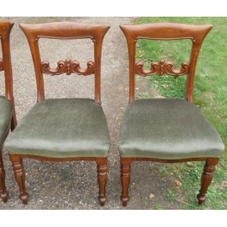 6 stk viktorianische englische Mahagoni Esszimmer Stühle antik ca 1850