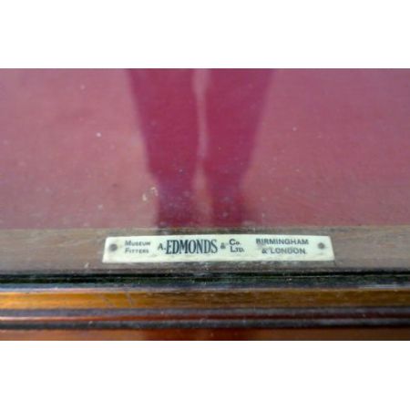 Original englische Mahagoni Vitrine Schaukasten antik ca 1920