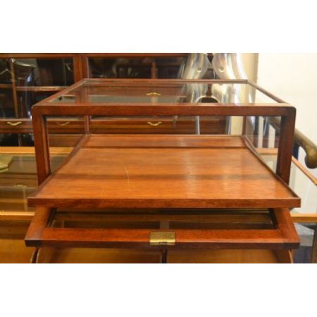 Antike englische Mahagoni Vitrine Schaukasten ca 1920