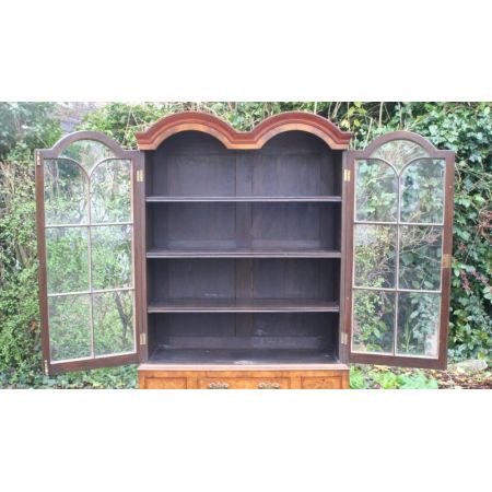 Original englische georgianische Nussbaum Vitrine antik ca 1910.