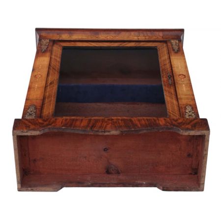 Original englische Nussbaum Vitrine antik 1880