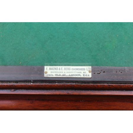 Antike Englische Mahagoni Vitrine ca 1850