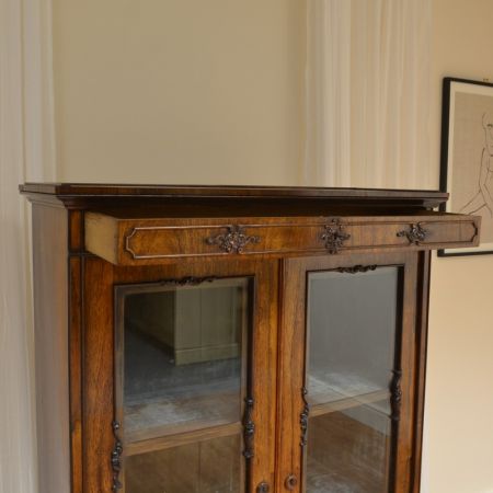 Viktorianische Englische Antike Palisander Vitrine ca 1880