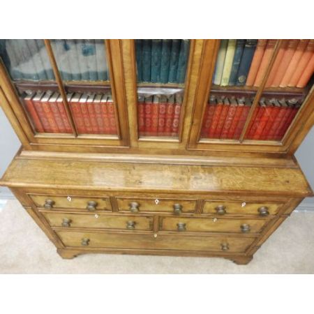 Antikes Englisches Mahagoni verglastes Bücherregal ca. 19. JH.