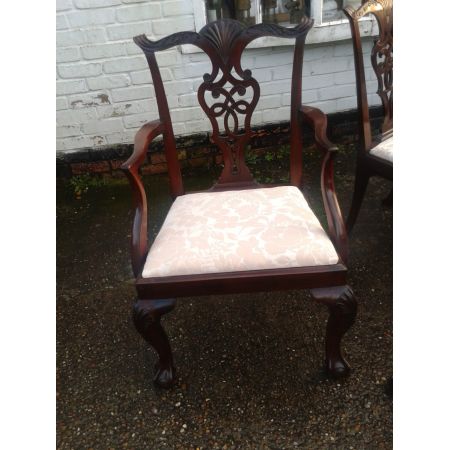 Antike Mahagoni Chippendale Esszimmer Stühle ca 1900