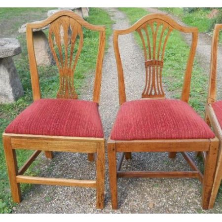 Georgianische antike Esszimmer Stühle Ulme ca 1800