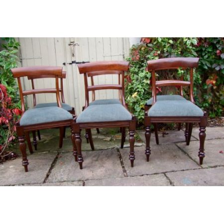6 Antike Englische Mahagoni Esszimmerstühle ca. 19. Jh.