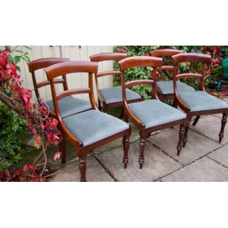 6 Antike Englische Mahagoni Esszimmerstühle ca. 19. Jh.