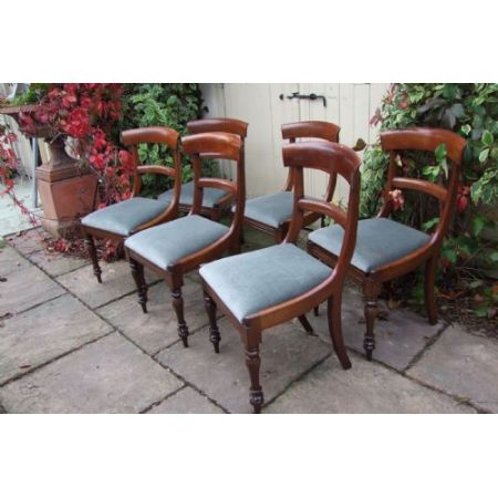 6 Antike Englische Mahagoni Esszimmerstühle ca. 19. Jh.