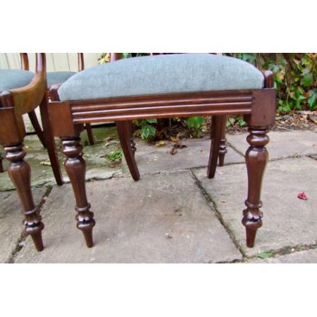 6 Antike Englische Mahagoni Esszimmerstühle ca. 19. Jh.