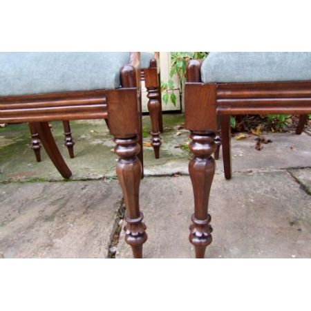 6 Antike Englische Mahagoni Esszimmerstühle ca. 19. Jh.