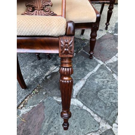 6 Antike Englische Mahagoni Esszimmerstühle ca. 19. JH.