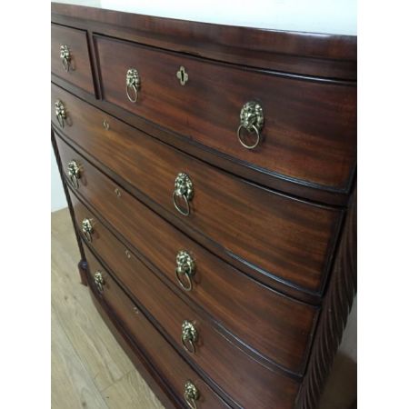 Regency Mahagoni Kommode Bowfront antik circa 1820