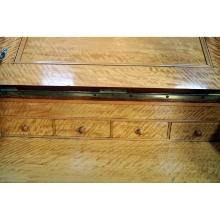 Britischer original antiker Amboina Schreibtisch ca 1870