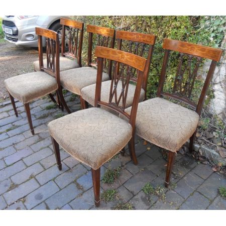 Antike Sheraton Stühle Mahagoni englisch ca 1890