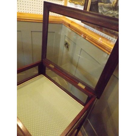 Viktorianische Antike Englische Mahagoni Bijouterie Vitrine ca. 1880