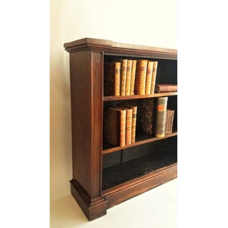 Antikes Regency Bücherregal Palisander britisch ca 1830