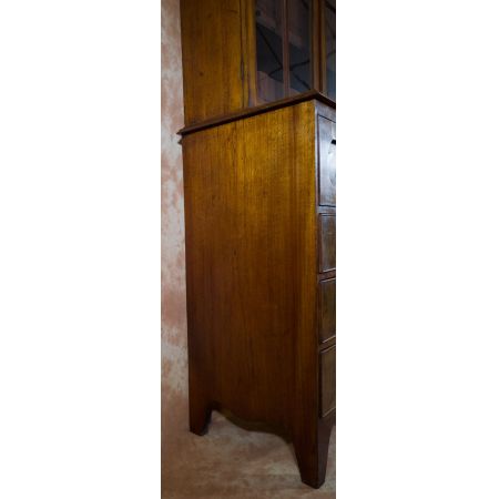 Georgianischer antiker Mahagoni Bücherschrank englisch ca 1820