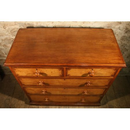 Viktorianische Bergahorn Kommode antik britisch ca 1860