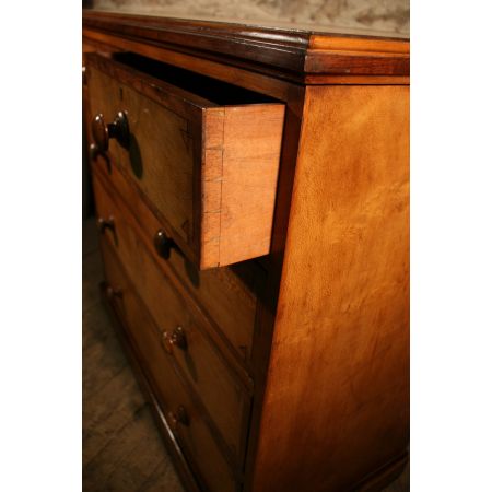 Viktorianische Bergahorn Kommode antik britisch ca 1860