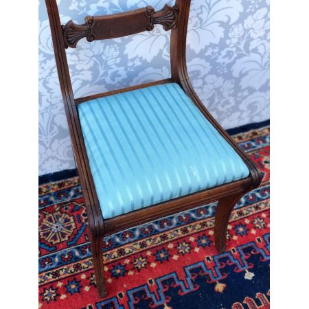 Antike englische Regency Stühle Palisander ca 1810