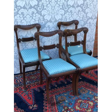 Antike englische Regency Stühle Palisander ca 1810