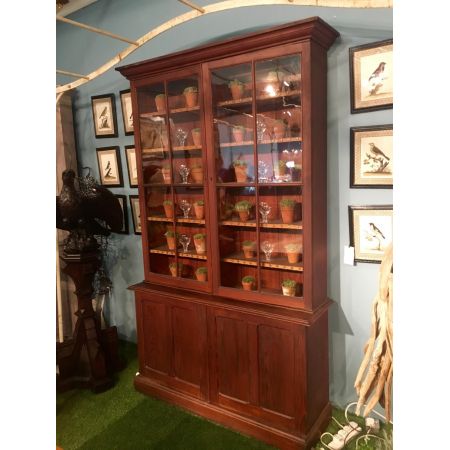 Antiker Regency Bücherschrank Kiefer Weichholz englisch ca 1810