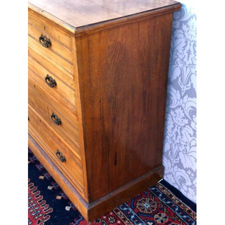 Edwardianische Satinholz Kommode antik britisch ca 1890